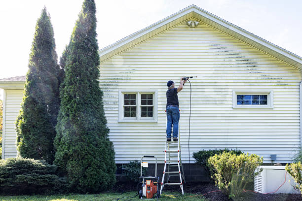 Best Solar Panel Cleaning  in Ancient Oaks, PA