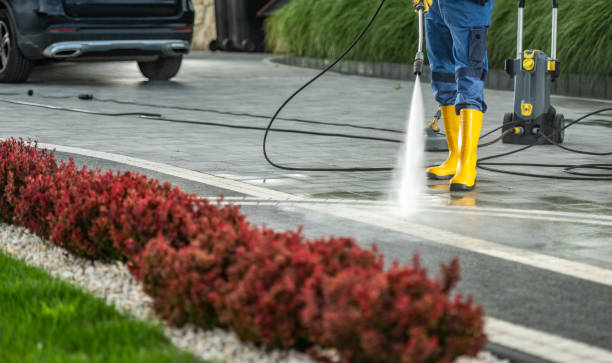 Best Driveway Pressure Washing  in Ancient Oaks, PA